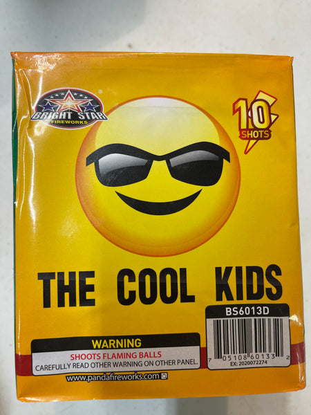 The cool kids - LIT