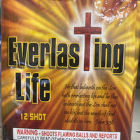 Everlasting Life