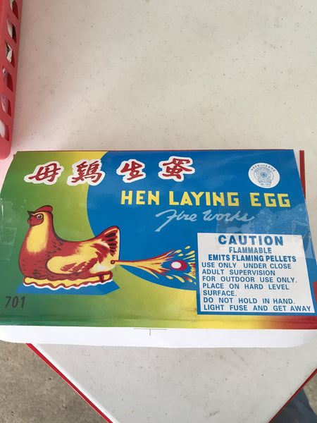 Hen laying egg box